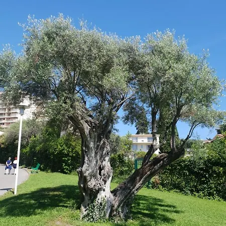 Apartment 2p Calme , Ideal Famille , Piscine , Tennis , Wifi , Parking *